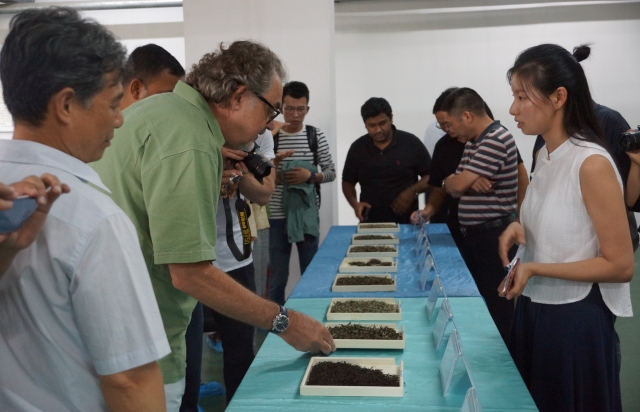 國(guó)際經(jīng)濟(jì)與貿(mào)易 （茶葉貿(mào)易方向）