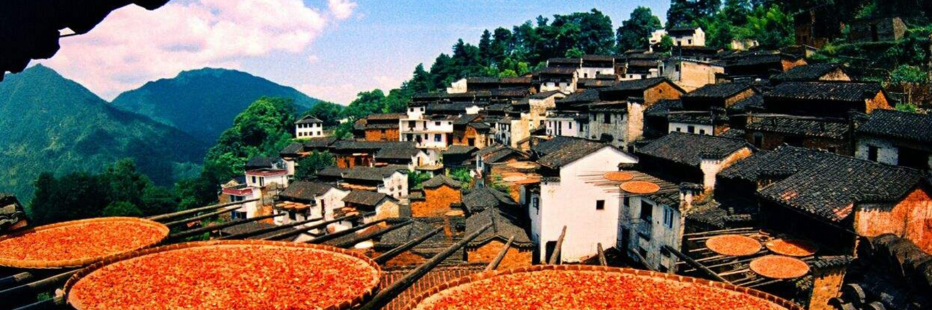 圖5：篁嶺曬秋圖